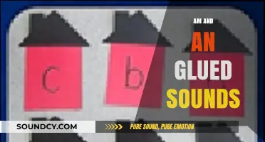 Mastering Glued Sounds: Understanding 'am' and 'an' in Phonics