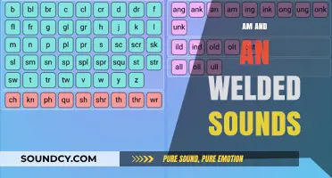 Mastering Welded Sounds: Understanding 'Am' and 'An' in Phonetics