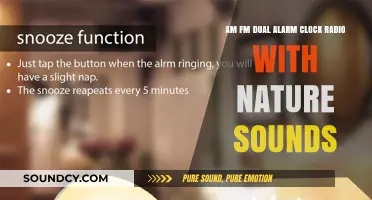 Wake Up Refreshed: AM/FM Dual Alarm Clock Radio with Nature Sounds