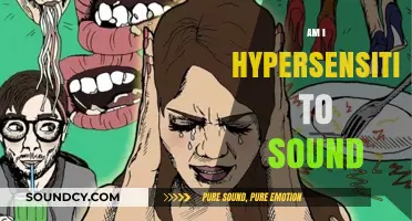 Am I Hypersensitive to Sound? Understanding Misophonia and Sensory Overload