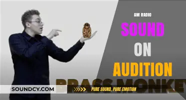 Exploring the Unique AM Radio Sound in Adobe Audition