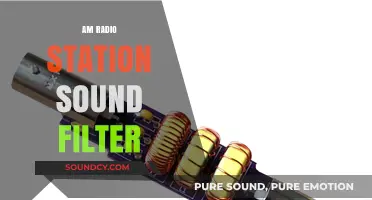 Enhance Your AM Radio Station Sound with Effective Filter Techniques