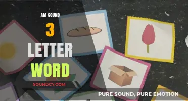 Mastering the Art of Short Communication: Exploring the Power of 3-Letter Words