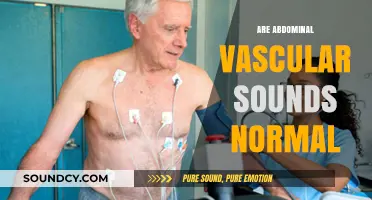 Are Abdominal Vascular Sounds Normal? Understanding Bowel and Blood Flow Noises