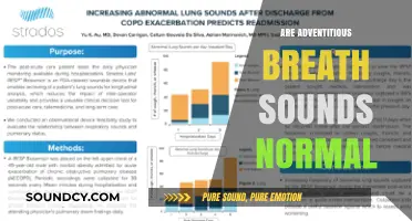 Are Adventitious Breath Sounds Normal? Understanding Abnormal Lung Sounds