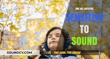Autism and Sound Sensitivity: A Complex Relationship