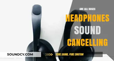 Bose Headphones: Do They All Cancel Noise?