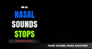 Are All Nasal Sounds Stops? Exploring Phonetics and Articulation