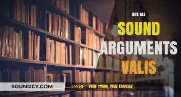 Are All Sound Arguments Valid? Exploring Logic and Reasoning