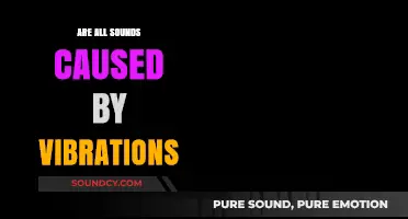 Vibrations and Sounds: What's the Connection?