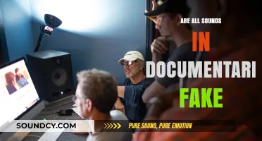 Documentary Sounds: Real or Fake?