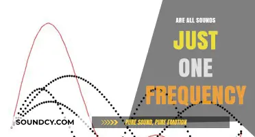 Sounds: A Single Frequency or a Complex Waveform?
