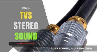 Do All TVs Have Stereo Sound? Uncovering Audio Truths