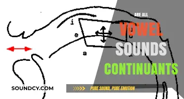 Are All Vowel Sounds Continuants? Exploring Phonetics and Speech Sounds