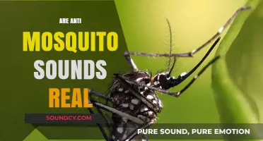 Do Anti-Mosquito Sounds Really Work? Separating Fact from Fiction
