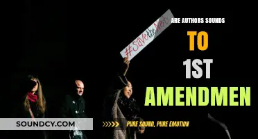 The First Amendment: Author's Freedom or Responsibility?