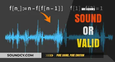 Are Axioms Sound or Valid? Exploring the Foundations of Logic