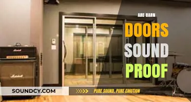 Can Barn Doors Block Noise? Exploring Their Soundproofing Capabilities