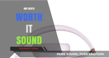 Are Beats Headphones Worth the Hype for Sound Quality?