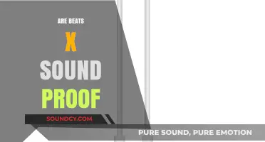 Are Beats X Earphones Soundproof? A Comprehensive Review and Analysis