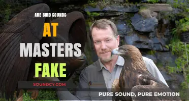 Bird Sounds at Masters: Real or Memorex?