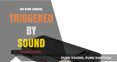 How Blink Cameras React to Sound