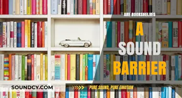 Can Bookshelves Block Noise? Exploring Their Soundproofing Potential