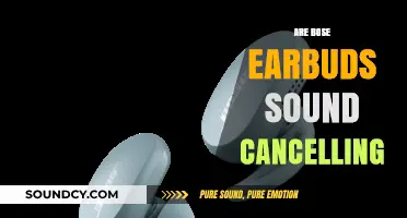 Bose Earbuds: Do They Offer Effective Noise Cancellation?
