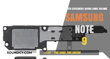 Samsung Note 9 Speakers: Do Both Deliver Equal Volume Output?