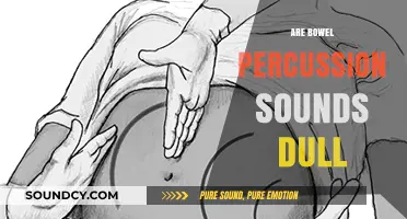Understanding Dull Bowel Percussion Sounds: Causes, Significance, and Clinical Insights