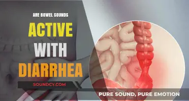 Bowel Sounds and Diarrhea: What's the Connection?