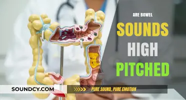 Are Bowel Sounds High Pitched? Understanding Intestinal Noises and Health