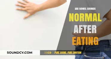 Bowel Sounds After Eating: What's Normal?