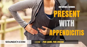 Bowel Sounds: Appendicitis Indicator or Red Herring?