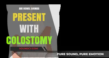 Colostomy and Bowel Sounds: What's the Connection?