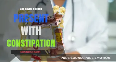 Bowel Sounds and Constipation: What's the Link?