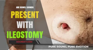 Bowel Sounds and Ileostomies: What's the Connection?