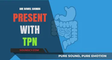 Bowel Sounds and TPN: What's the Connection?