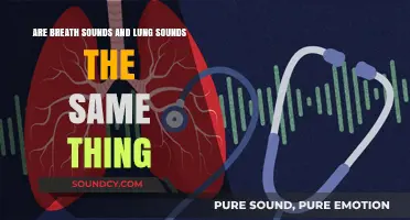 Breath Sounds vs. Lung Sounds: Understanding the Difference and Similarities