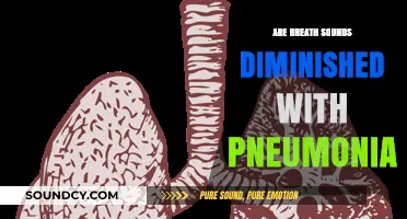 Breath Sounds and Pneumonia: What's the Connection?