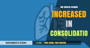 Breath Sounds and Consolidation: What's the Connection?