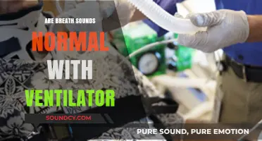 Breath Sounds: Ventilator Use and Normalcy