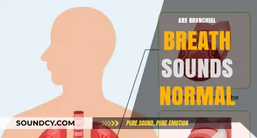 Are Bronchial Breath Sounds Normal? Understanding Lung Sounds and Health