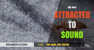 Do Bugs Hear Music? Exploring Sound's Role in Insect Attraction