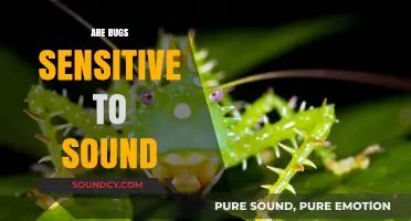 Do Bugs Hear? Exploring Insects' Sensitivity to Sound Frequencies