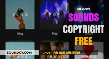 Are CapCut Sounds Copyright Free? A Comprehensive Guide for Creators