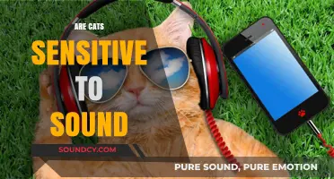 Do Cats Hear Differently? Exploring Feline Sensitivity to Sounds and Noises