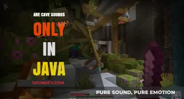 Java's Cave Sounds: Unique Feature or Universal?