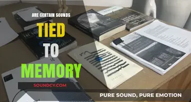 How Sound and Memory are Intertwined
