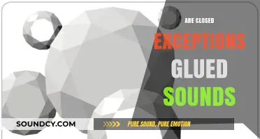 Are Closed Exceptions Glued Sounds? Unraveling Phonological Mysteries in Language